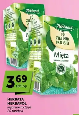 ABC Herbata Zielnik Polski Mięta oferta