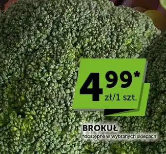 ABC Brokuł oferta