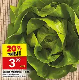 Twój Market Sałata masłowa oferta