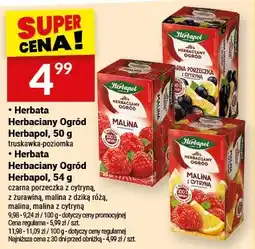 Twój Market Herbata owocowa Ogród Herbapol truskawka poziomka oferta