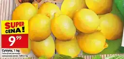Twój Market Cytryny oferta