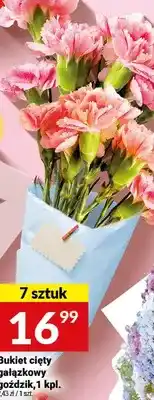 Twój Market Bukiet cięty gałązkowy goździk, 7 sztuk oferta