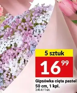 Twój Market Gipsówka cięta pastel 50 cm, 5 sztuk oferta
