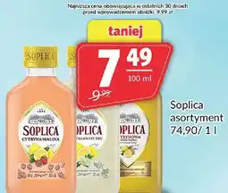 Prim Market Soplica asortynent cytrynówka malina oferta