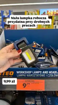 Biedronka Mała lampka robocza oferta