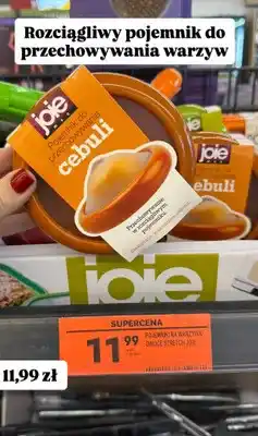 Biedronka Pojemnik do przechowywania warzyw oferta