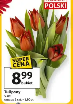 Auchan Tulipany oferta