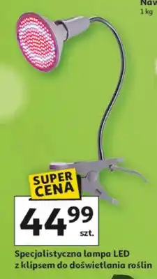 Auchan Specjalistyczna lampa LED z klipsem do doświetlania roślin oferta