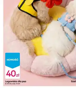 Pepco Legowisko dla psa oferta