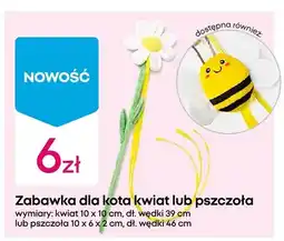 Pepco Zabawka dla kota pszczoła oferta