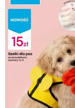 Pepco Szelki ze smyczą dla psa ze skrzydełkami oferta