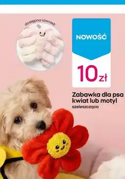 Pepco Zabawka dla psa kwiat lub motyl oferta