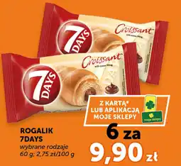 Groszek Rogalik 7days oferta