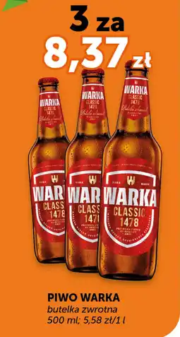 Groszek Piwo warka oferta