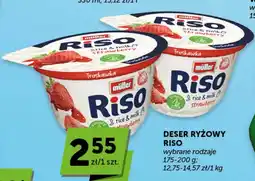 Groszek Deser ryżowy riso oferta