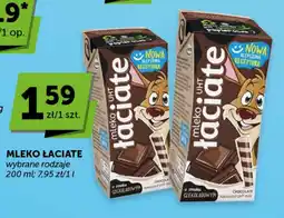 Groszek Mleko łaciate oferta