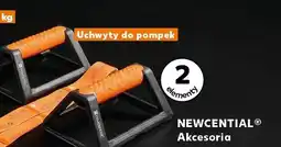 Kaufland Uchwyty do pompek oferta