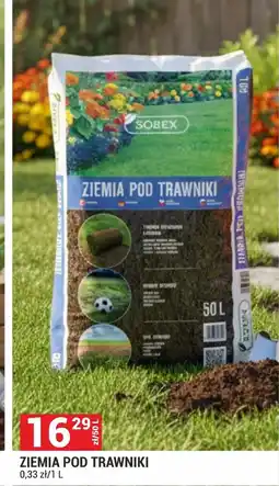 Merkury Market Ziemia Sobex oferta