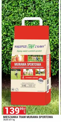 Merkury Market Nasiona trawy E oferta