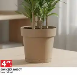 Merkury Market Doniczka Woody oferta