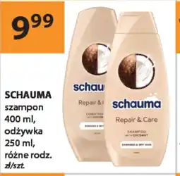 Drogerie Laboo Szampon oferta