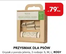 AquaelZOO Gryzak dla psa Rogy oferta