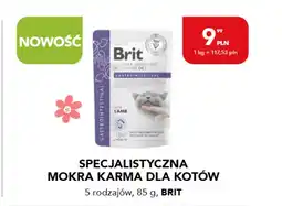 AquaelZOO Mokra karma dla kota Brit oferta