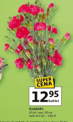 Auchan Goździki S! oferta