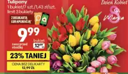 Delikatesy Centrum Bukiet Tulipany oferta