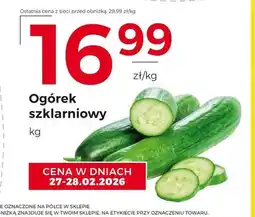 Frac Ogórek oferta