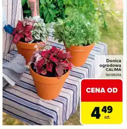 Carrefour Donica oferta
