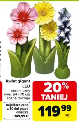 Carrefour Ozdoba led K! oferta