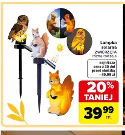 Carrefour Lampka solarna oferta