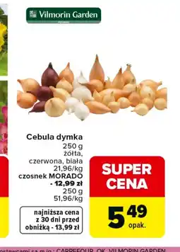 Carrefour Cebula dymka Vilmorin Garden oferta
