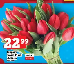 Topaz Bukiet Tulipany oferta