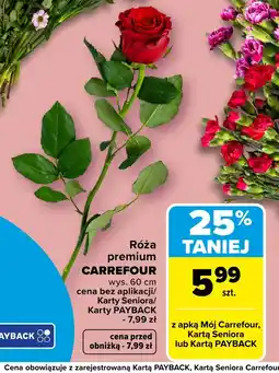 Carrefour Market Róża Carrefour oferta