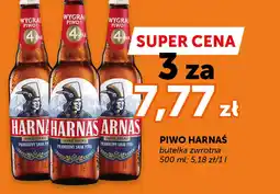 Groszek Piwo Harnaś oferta