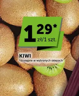 Groszek Kiwi oferta