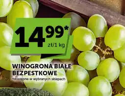 Groszek Winogrona białe bezpestkowe oferta