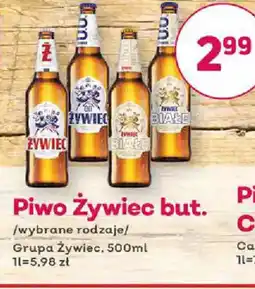 Bliski Piwo Zywiec but. oferta