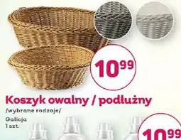 Bliski Koszyk owalny / podłużny oferta