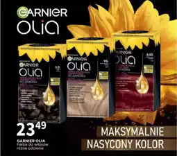 Drogerie Polskie Garnier olia farba do włosów oferta