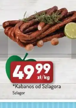 Avita Kabanos od Szlagora oferta