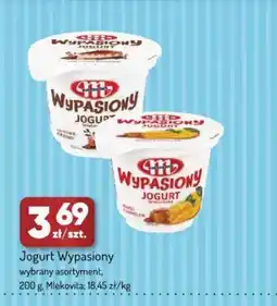 Avita Jogurt Wypasiony oferta