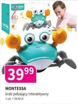 Drogerie Polskie Montessa krab pełzający interaktywny oferta