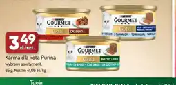 Avita Purina Gourmet Gold karma dla kota oferta