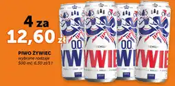 Groszek Piwo Zywiec oferta