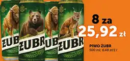 Groszek Piwo Zubr oferta
