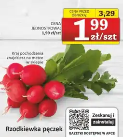 Marmax Rzodkiewka pęczek oferta