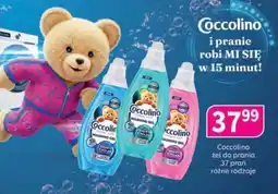 Drogerie Polskie Coccolino żel do prania oferta